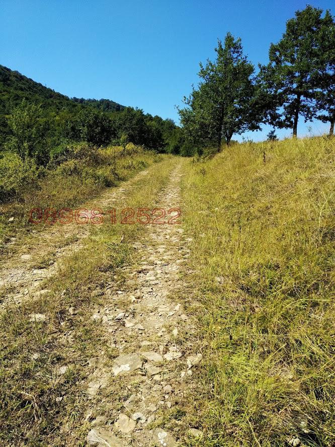 Продава ПАРЦЕЛ, с. Орешак, област Ловеч, снимка 2 - Парцели - 52781159