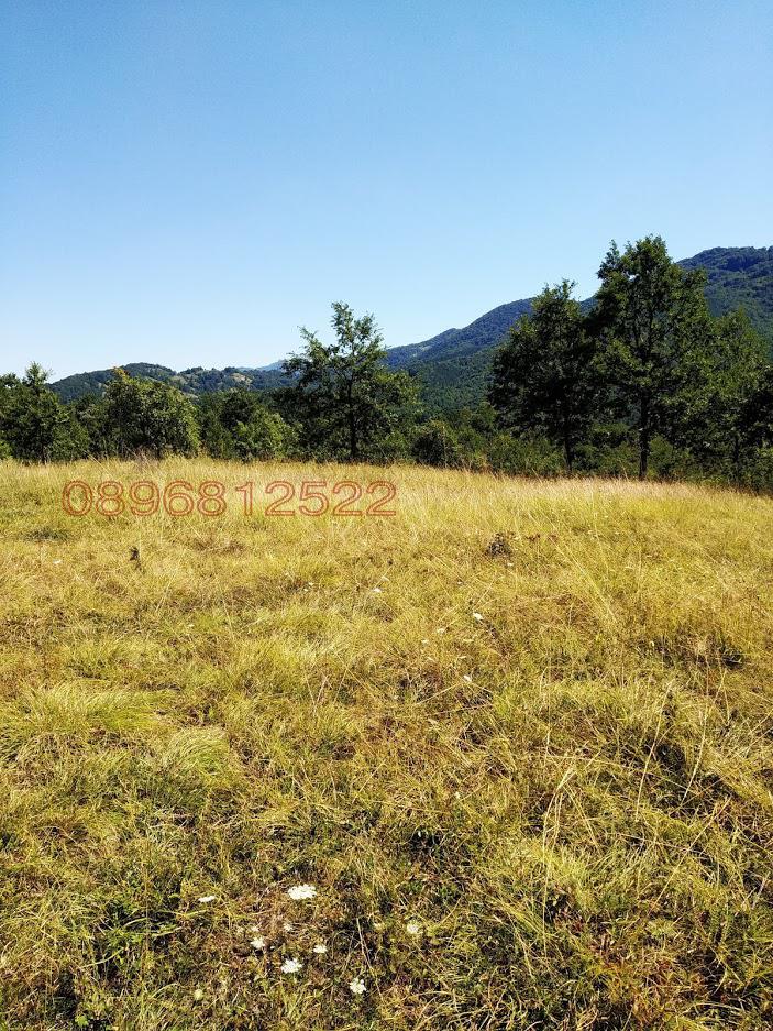 Продава ПАРЦЕЛ, с. Орешак, област Ловеч, снимка 9 - Парцели - 52781159