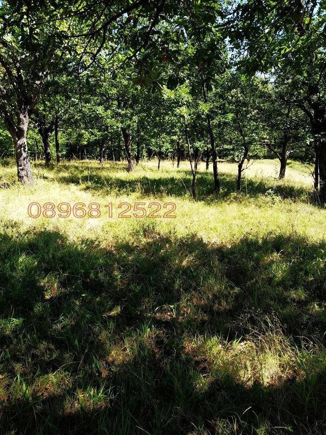 Продава ПАРЦЕЛ, с. Орешак, област Ловеч, снимка 4 - Парцели - 52781159