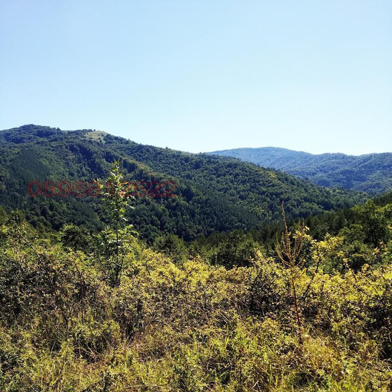 Продава ПАРЦЕЛ, с. Орешак, област Ловеч, снимка 10 - Парцели - 52781159