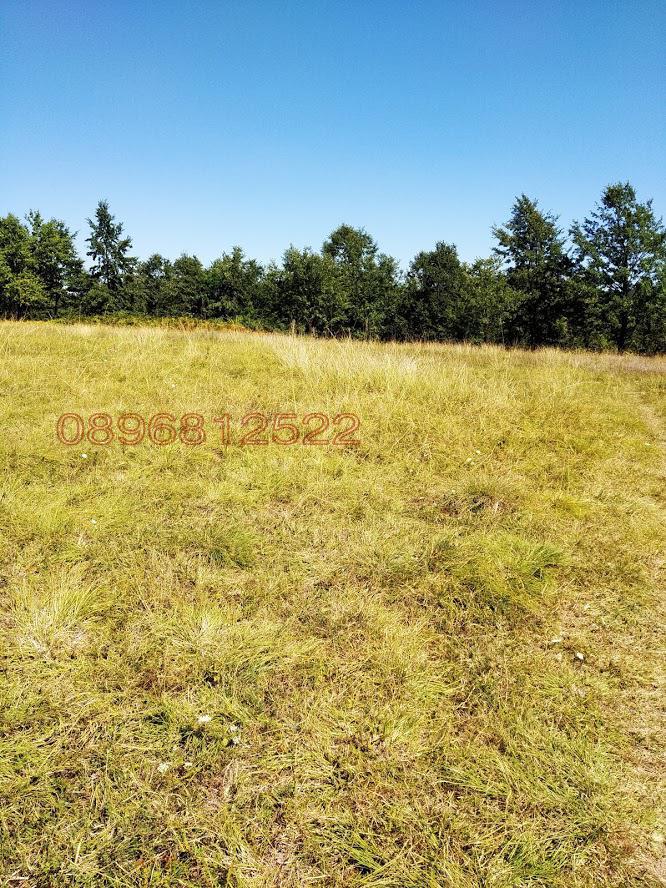 Продава ПАРЦЕЛ, с. Орешак, област Ловеч, снимка 8 - Парцели - 52781159