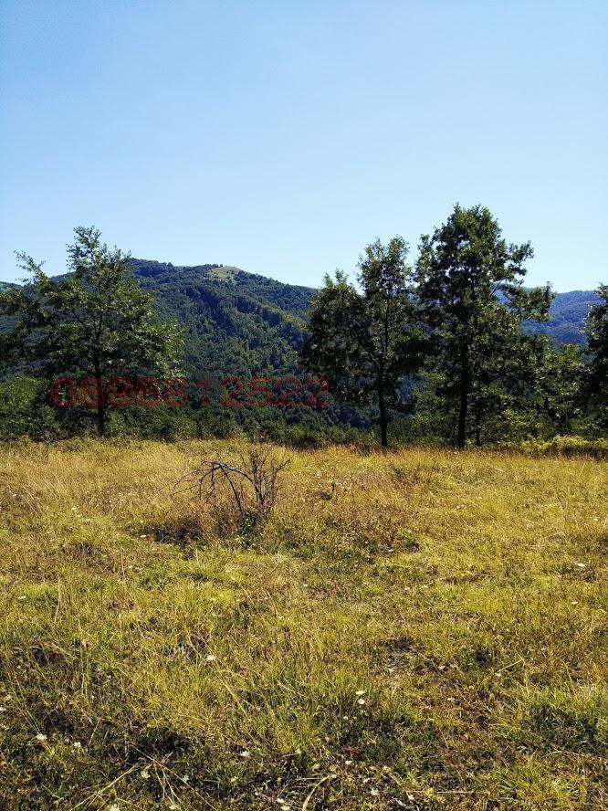 Продава ПАРЦЕЛ, с. Орешак, област Ловеч, снимка 7 - Парцели - 52781159