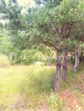 Продава ПАРЦЕЛ, с. Вакарел, област София област, снимка 9