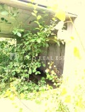 Продава ПАРЦЕЛ, област София, с. Вакарел • 42000 € • 46613098 — Holmes.bg