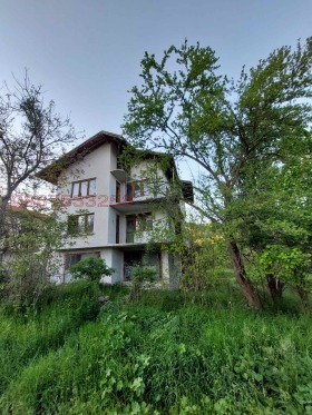 ������ ������� ����