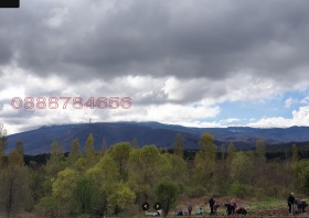 ����� ������� ������,���� �����, �������