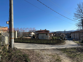 ����� ������� ������,���� �������, �������