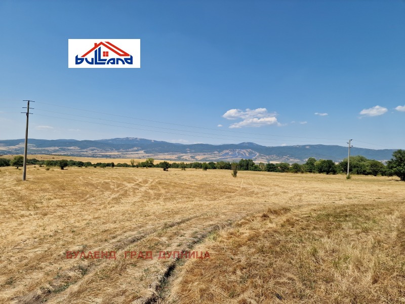 Te koop  Land regio Kjoestendil , Sapareva banja , 2 dka | 91829705 - afbeelding [3]