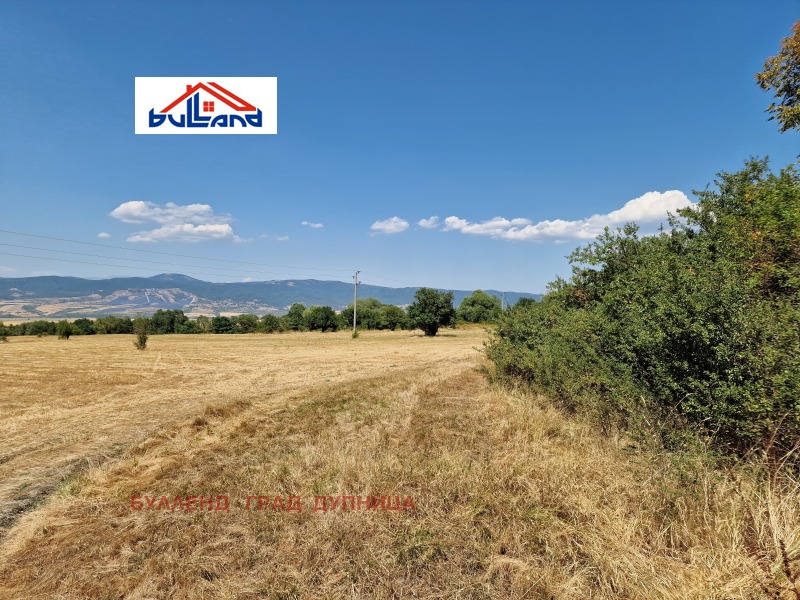 Te koop  Land regio Kjoestendil , Sapareva banja , 2 dka | 91829705 - afbeelding [2]