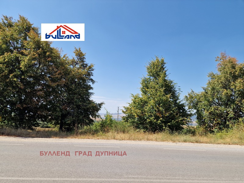 Te koop  Land regio Kjoestendil , Sapareva banja , 2 dka | 91829705 - afbeelding [7]