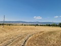 Продава ЗЕМЕДЕЛСКА ЗЕМЯ, гр. Сапарева баня, област Кюстендил, снимка 2