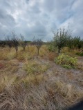 Продава  Парцел област Пловдив , с. Марково , 3190 кв.м | 17345749