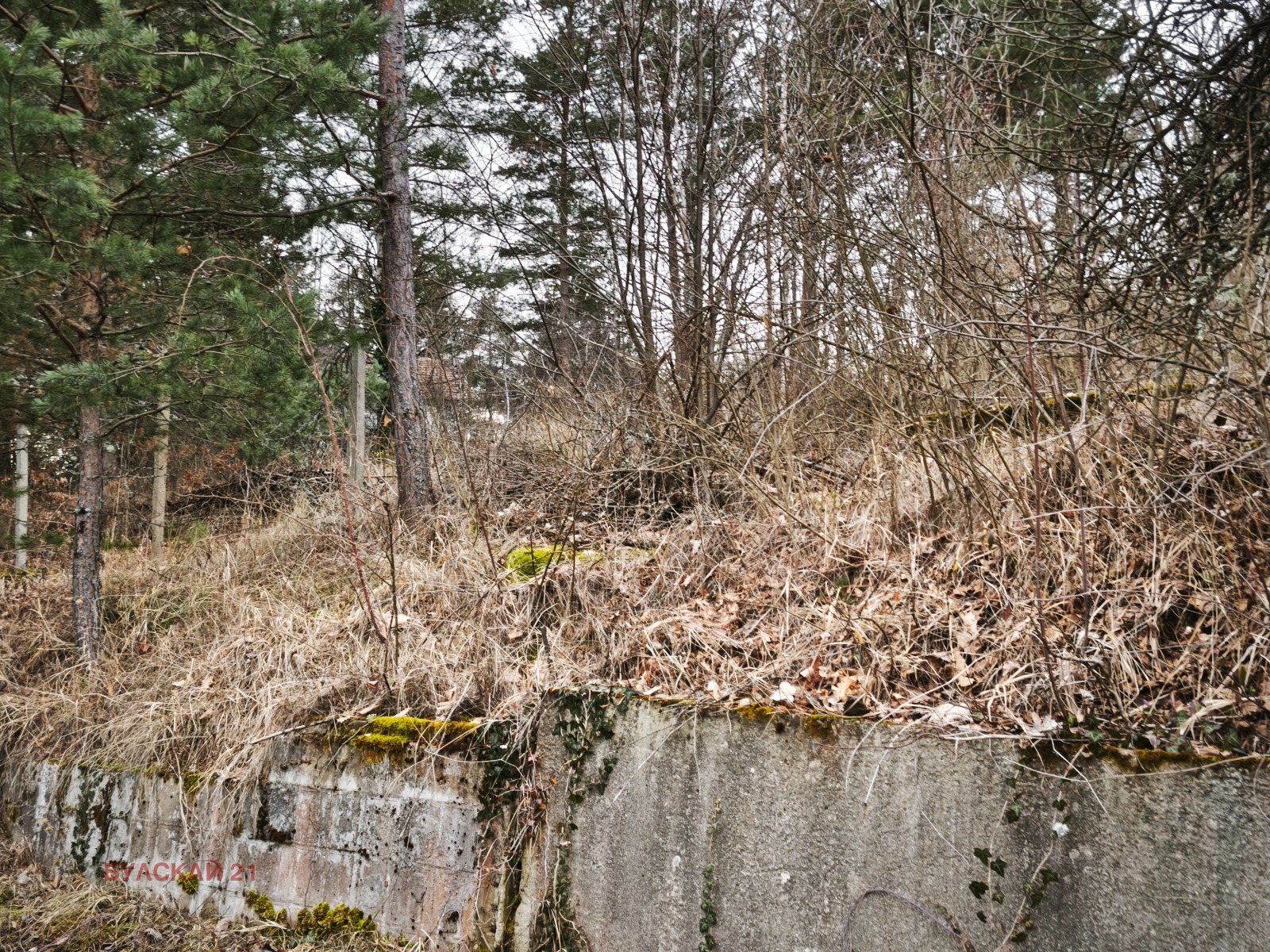 ������� ������ | Imot.bg � ����������� 2