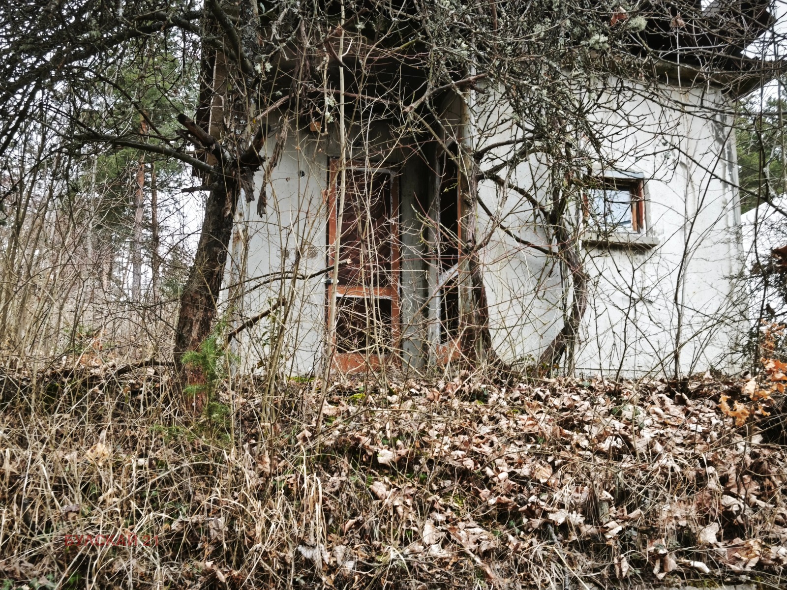 ������� ������ | Imot.bg � ����������� 5