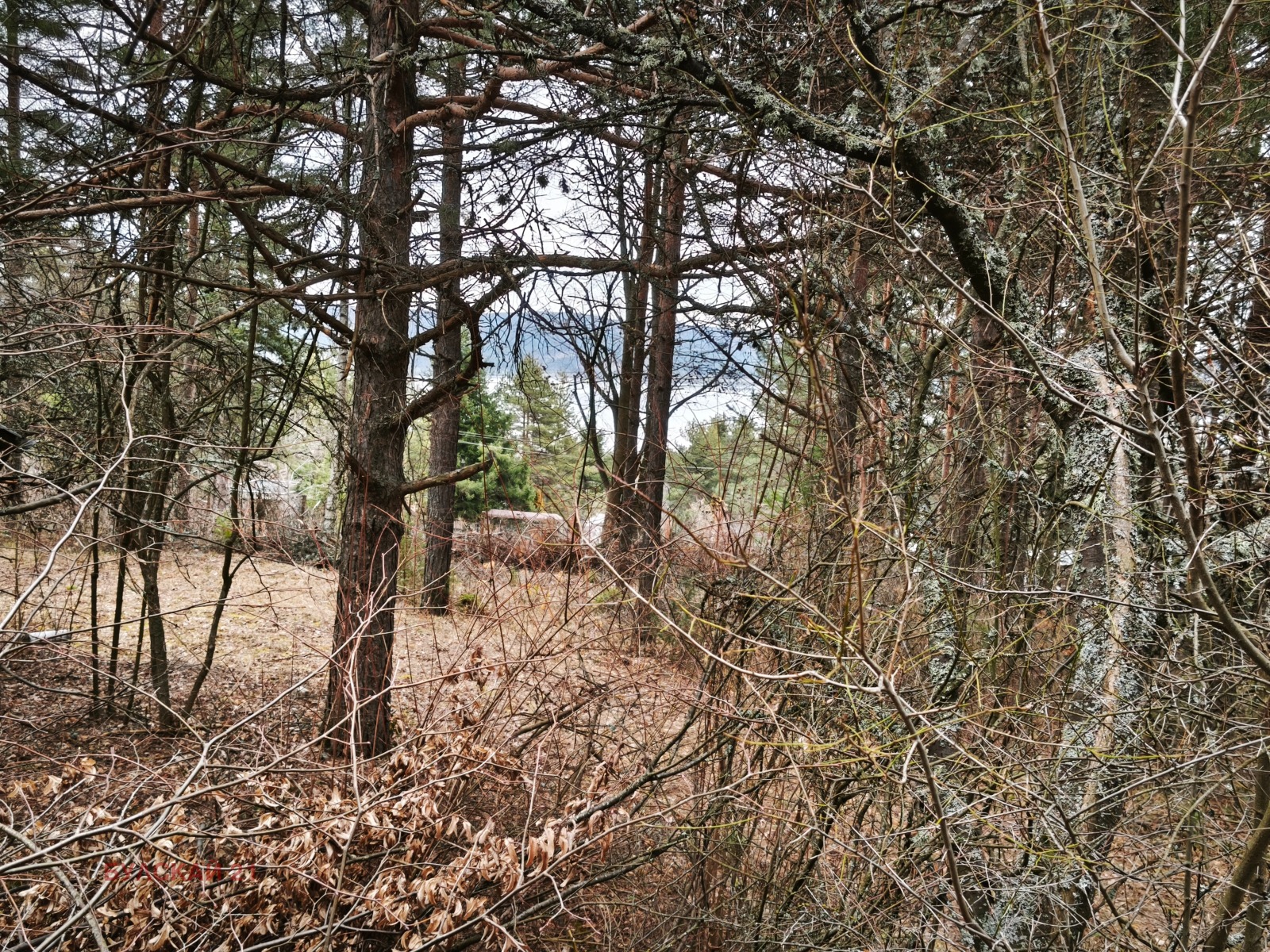 ������� ������ | Imot.bg � ����������� 1