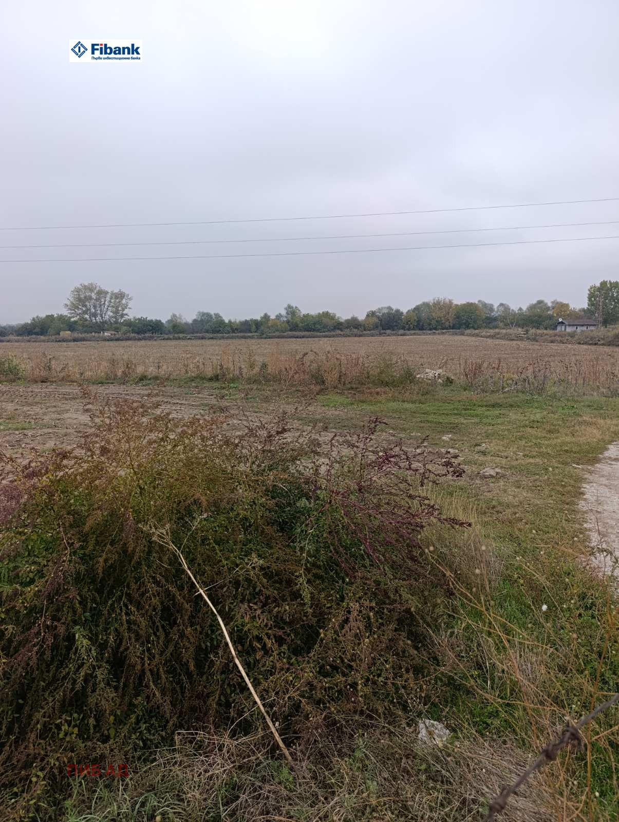 ������� ���������� ���� | Imot.bg � ����������� 1