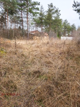 ������� ������ | Imot.bg � ����� ������ 3