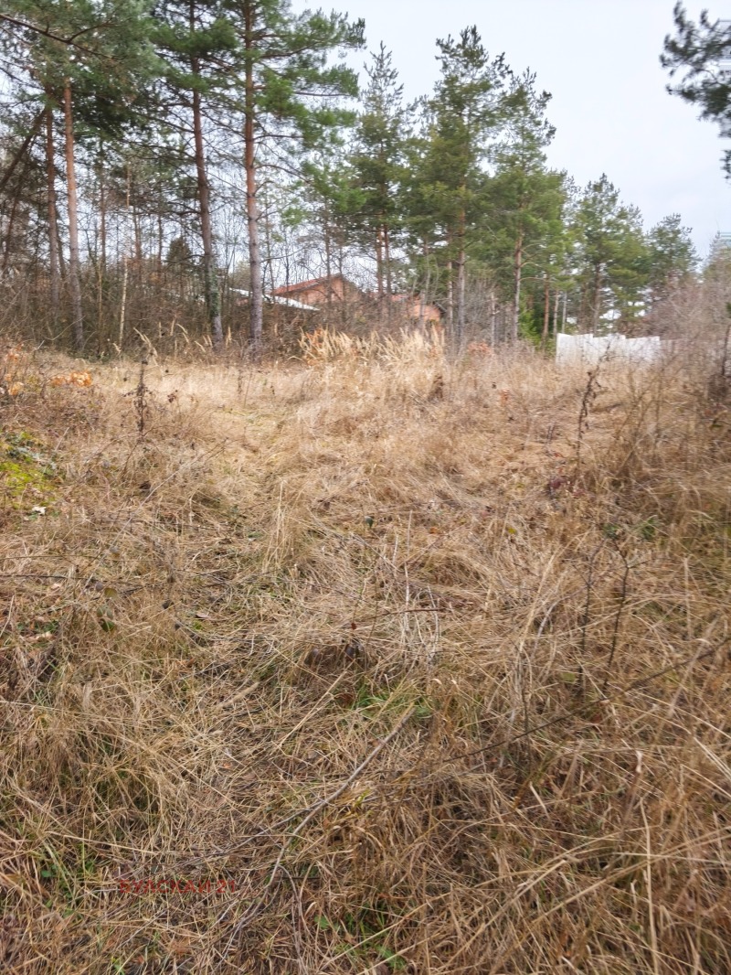 Продава ПАРЦЕЛ, гр. София, м-т Щъркелово гнездо, снимка 2 - Парцели - 53369710