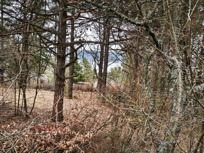 Продава ПАРЦЕЛ, гр. София, м-т Щъркелово гнездо