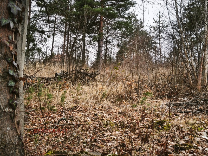 Продава ПАРЦЕЛ, гр. София, м-т Щъркелово гнездо, снимка 3 - Парцели - 53369710