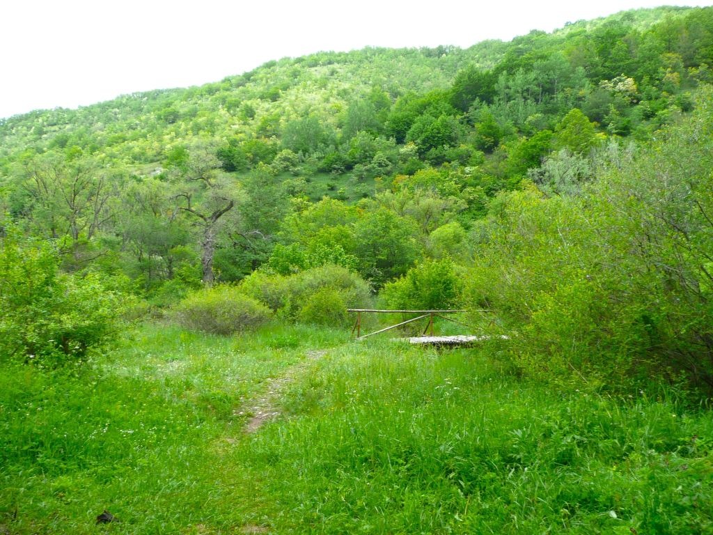 Продава ПАРЦЕЛ, с. Боснек, област Перник, снимка 9 - Парцели - 55485898