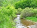 Продава  Парцел област Перник , с. Боснек , 996 кв.м | 76362954 - изображение [8]
