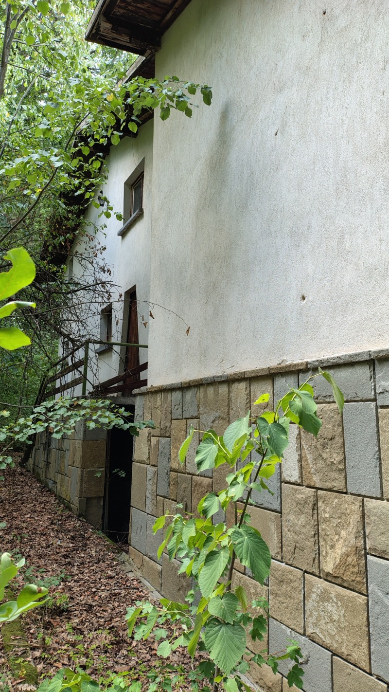 Продава КЪЩА, с. Курново, област Враца, снимка 7 - Къщи - 52794291