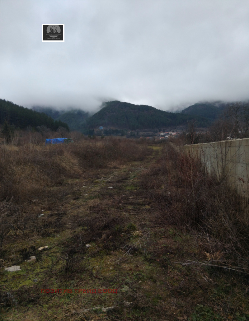 Продава БИЗНЕС ИМОТ, гр. Сапарева баня, област Кюстендил, снимка 5 - Други - 53249810