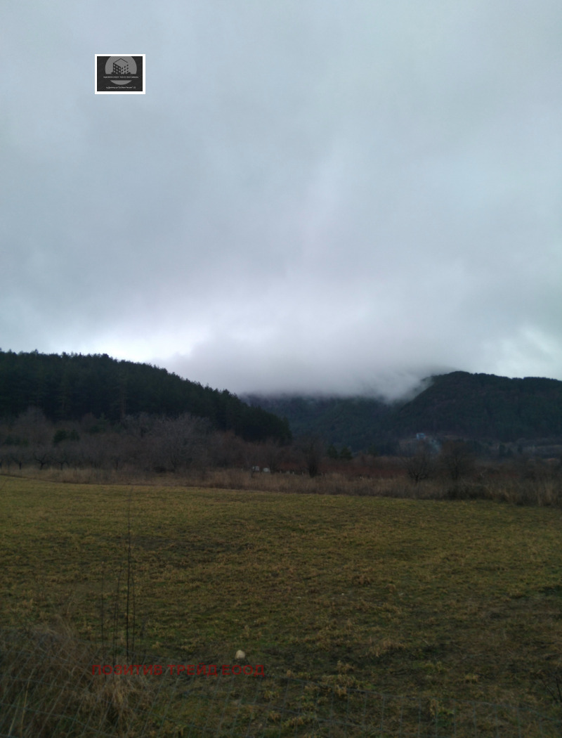 Продава БИЗНЕС ИМОТ, гр. Сапарева баня, област Кюстендил, снимка 7 - Други - 53249810