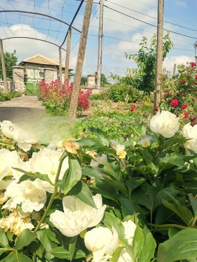 ������� ���� | Imot.bg � ����� ������ 3