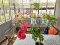 Продава КЪЩА, с. Кардам, област Добрич, снимка 8
