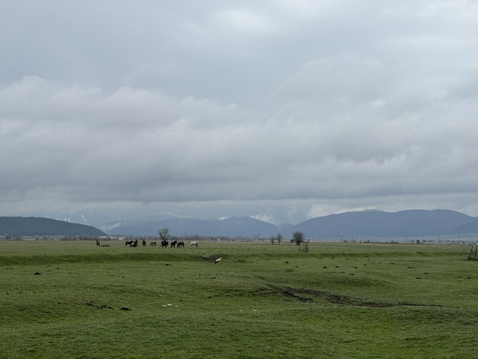 ������� ���� | Imot.bg � ����������� 4