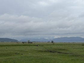 ����� ������� ����,�. ������, ������ �����>