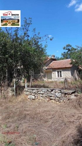 ������ ������� ����