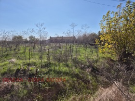 Grund Sarnevo, region Stara Zagora