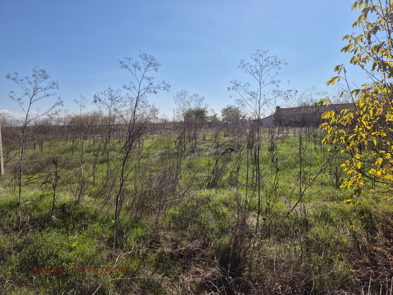 Продава ПАРЦЕЛ, с. Сърнево, област Стара Загора, снимка 2 - Парцели - 41431783
