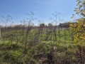Продава ПАРЦЕЛ, с. Сърнево, област Стара Загора, снимка 2