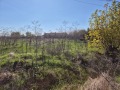 Продава ПАРЦЕЛ, с. Сърнево, област Стара Загора, снимка 1