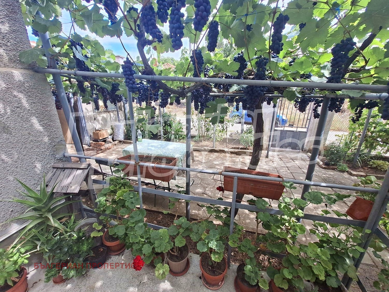 ������� ���� | Imot.bg � ����������� 16