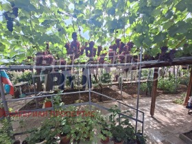 ������� ���� | Imot.bg � ����� ������ 17