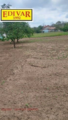 Plot Stozher, region Dobrich 1