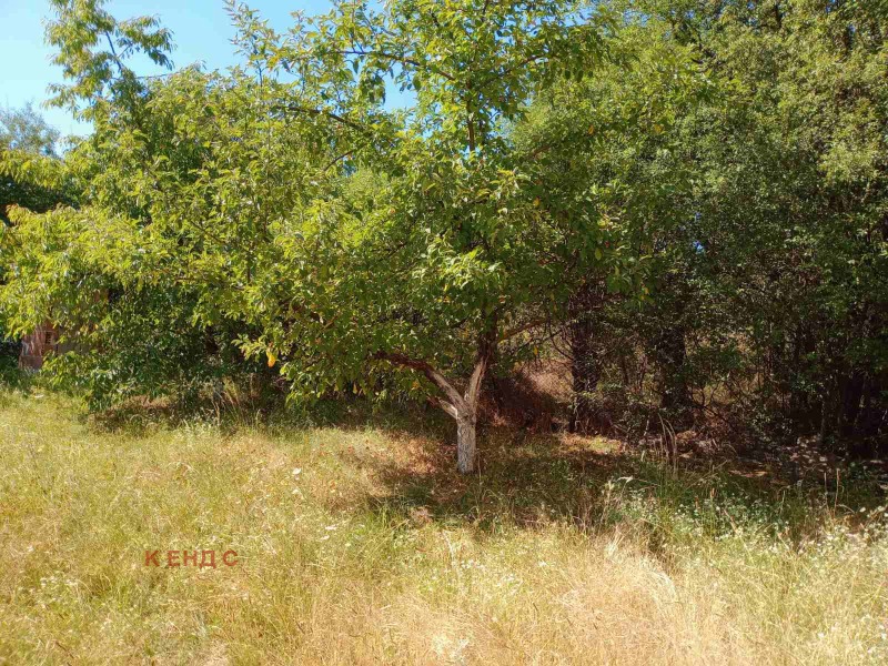Na prodej  Dům Sofia , Volujak , 360 m2 | 27099405 - obraz [3]