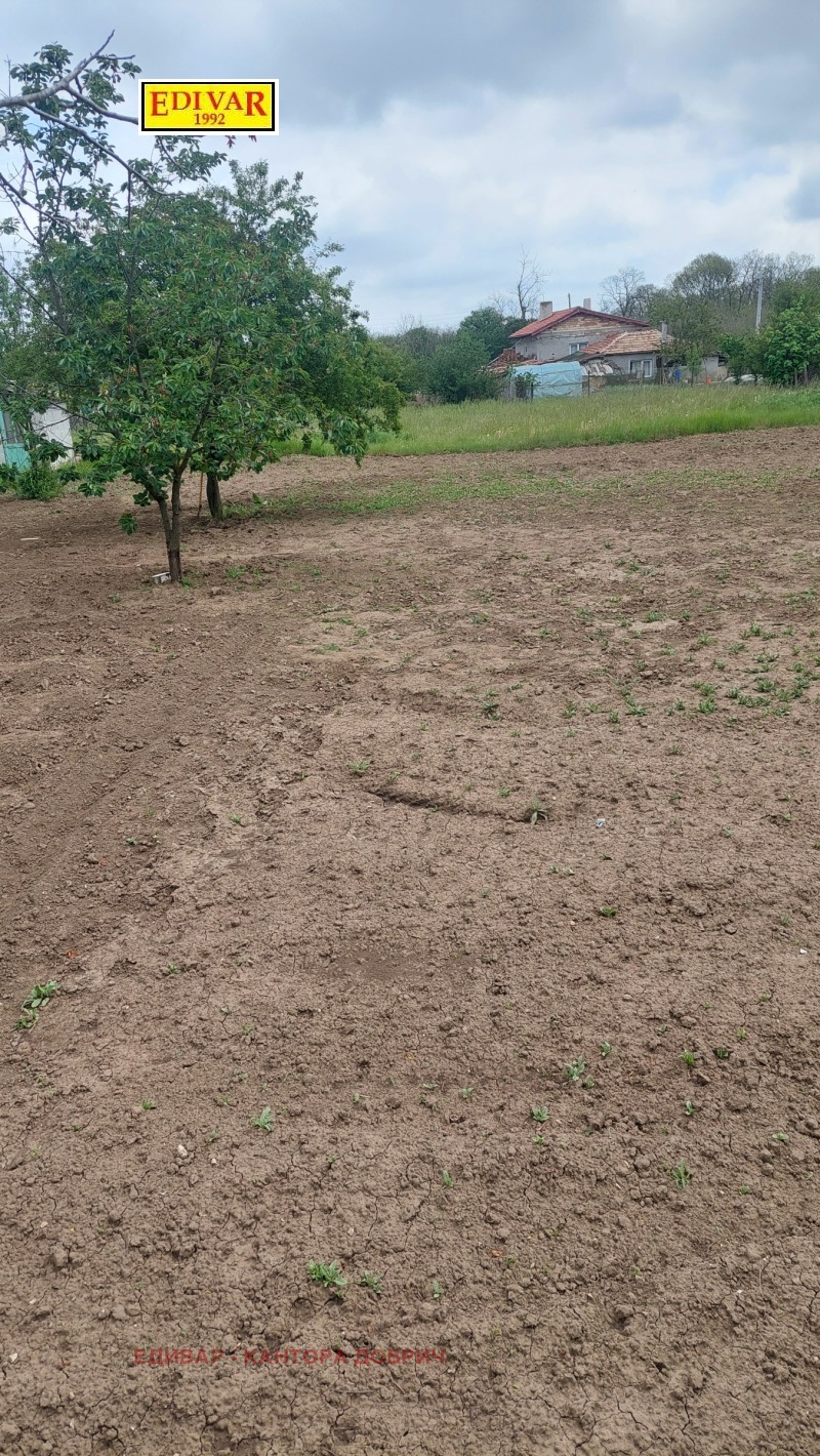 For Sale  Plot region Dobrich , Stozher , 1140 sq.m | 78490066