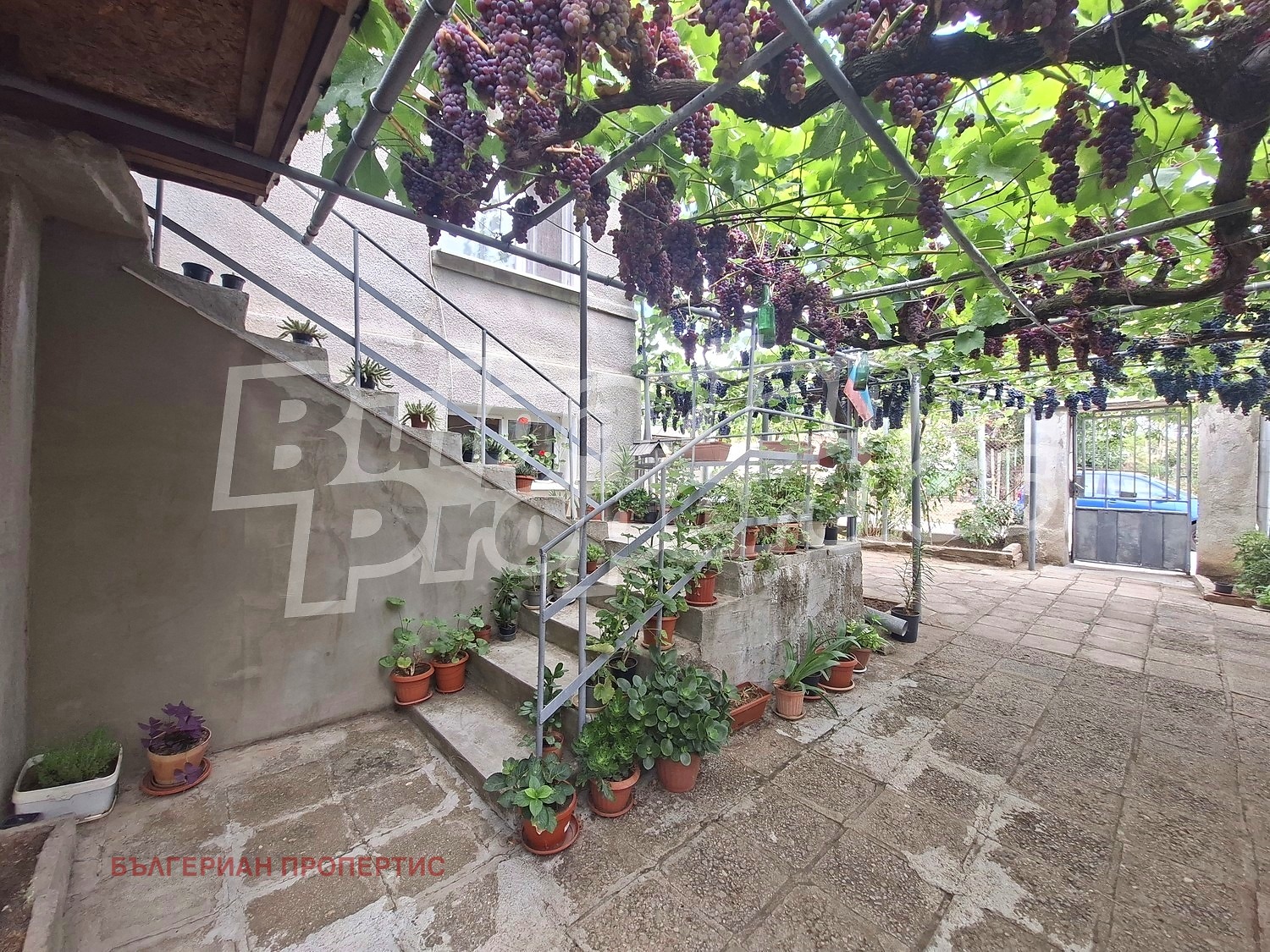 Продава КЪЩА, с. Голям манастир, област Ямбол, снимка 2 - Къщи - 55952911