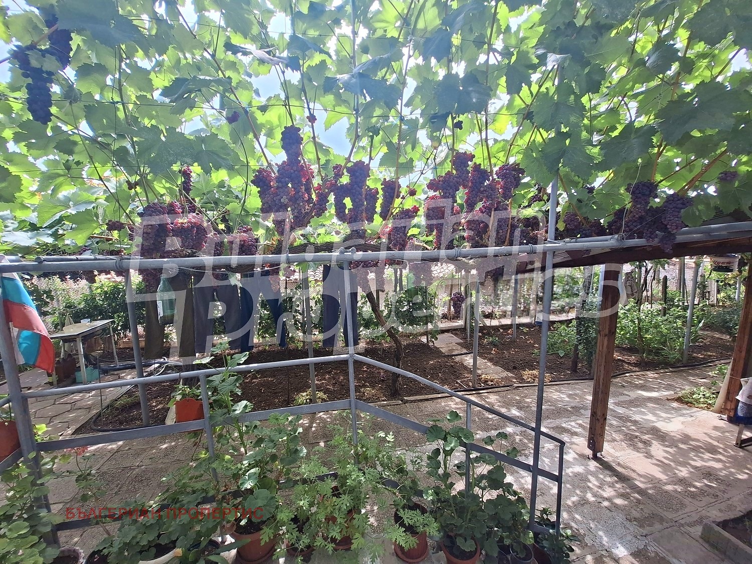 Продава КЪЩА, с. Голям манастир, област Ямбол, снимка 17 - Къщи - 55952911
