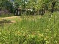 Продава КЪЩА, с. Бойковец, област София област, снимка 13
