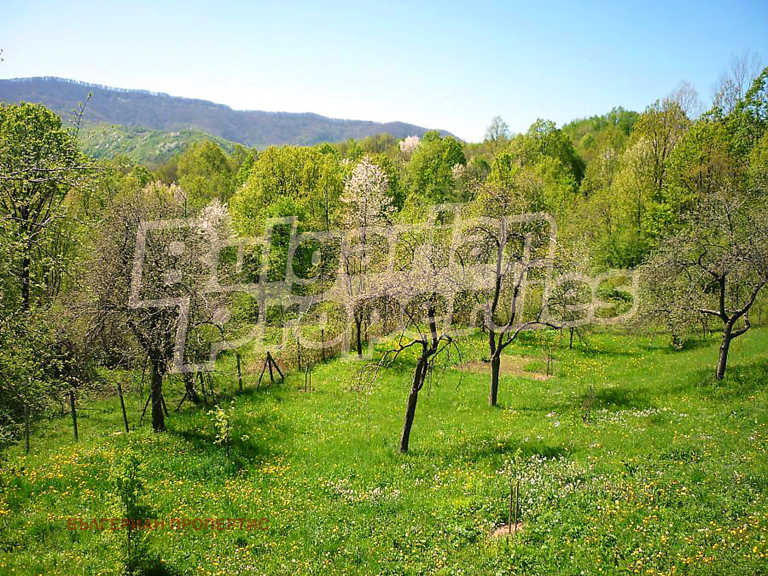 ������� ���� | Imot.bg � ����������� 6