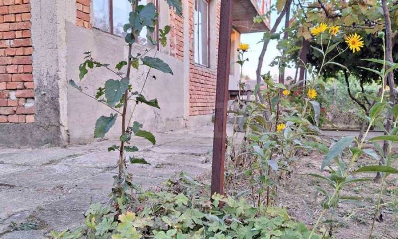 Продаја  Кућа регион Варна , Бјала , 174 м2 | 28073386 - слика [14]
