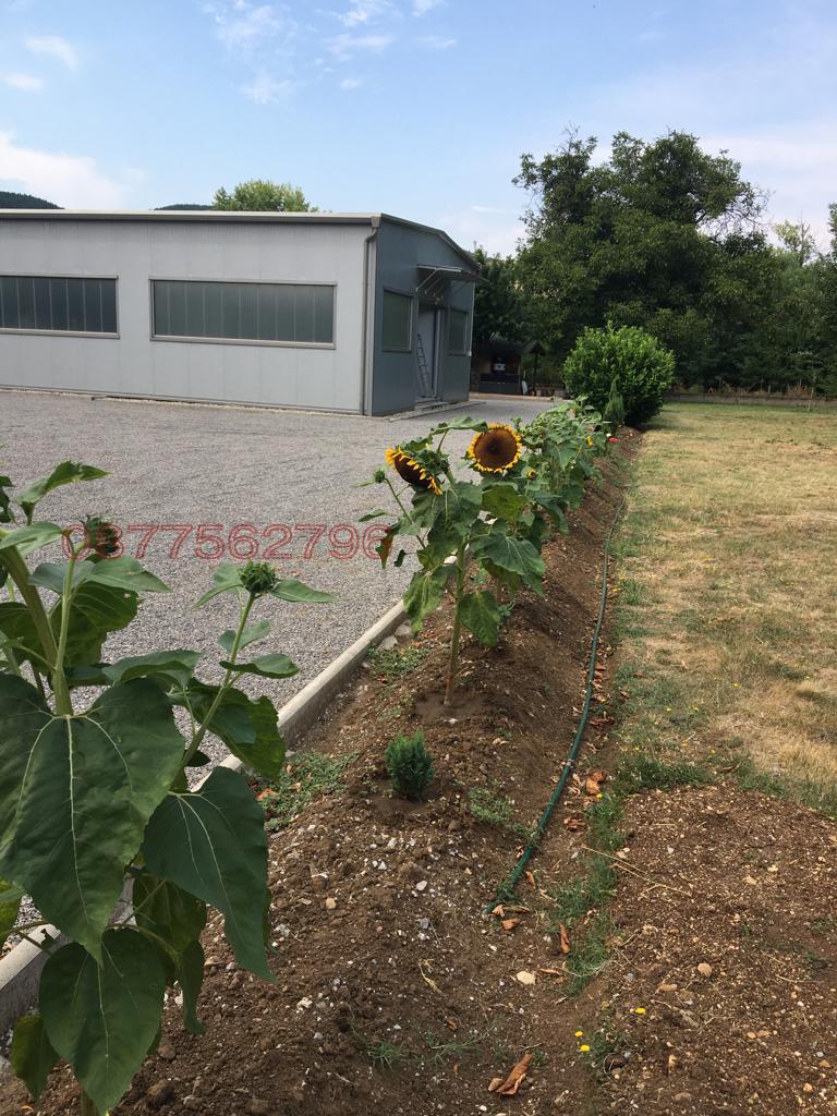 Продава ПРОМ. ПОМЕЩЕНИЕ, гр. Дупница, област Кюстендил, снимка 10 - Производствени сгради - 52785446