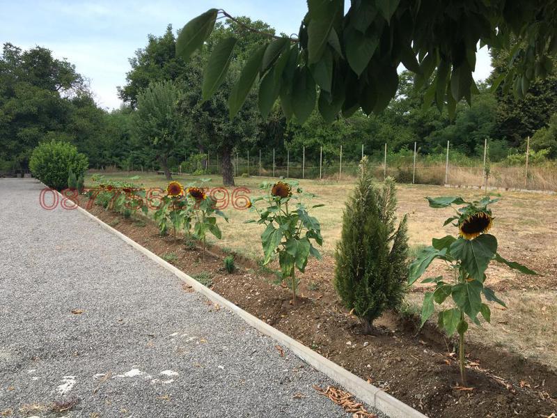 Продава ПРОМ. ПОМЕЩЕНИЕ, гр. Дупница, област Кюстендил, снимка 11 - Производствени сгради - 52785446